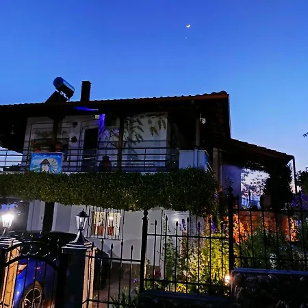 Seaside Adam's House 2019 *