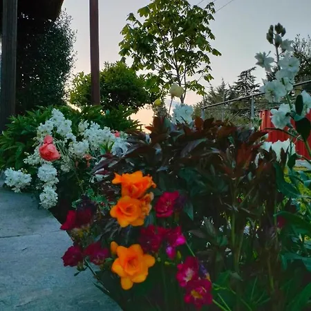 Seaside Adam's House 2019 *