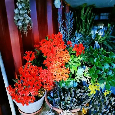 Casa de Férias Seaside Adam's House 2019 Kariani