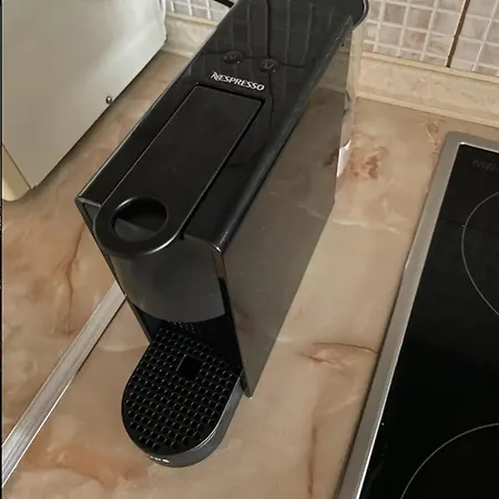 Adam's House 2019 *