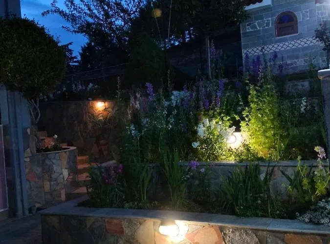 Seaside Adam's House 2019 * Karianí