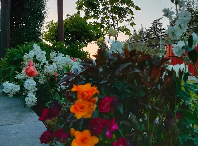 Seaside Adam's House 2019 *